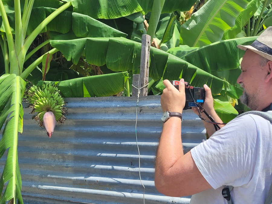 Ein Fotograf macht eine Foto von einer Bananenstaude.