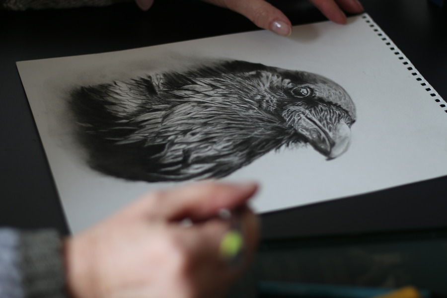 Eine realistische Zeichnung von einer Krähe.